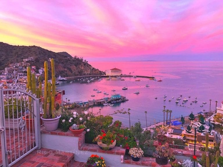 Top Events and Festivals on Catalina Island Fall 2019 Hotel Metropole